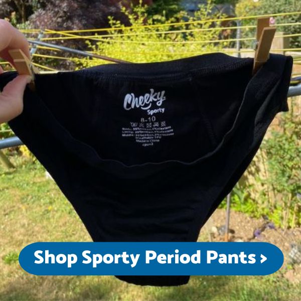 Underwear Disposable Incontinence Mesh Panties Postpartum Pants